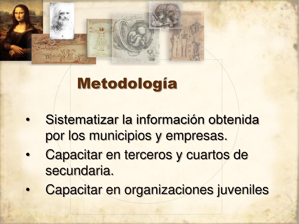 Metodología Sistematizar la información obtenida por los municipios y empresas. Capacitar en terceros y cuartos de secundaria.