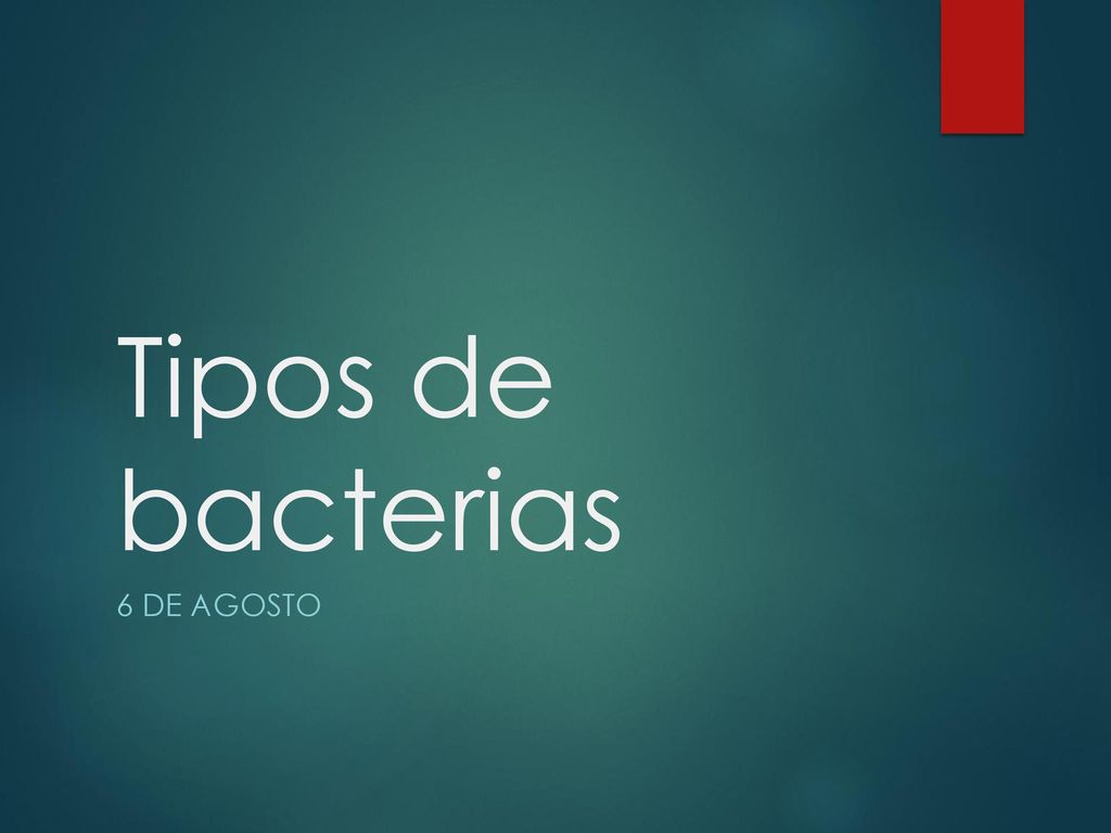 Tipos de bacterias 6 de agosto