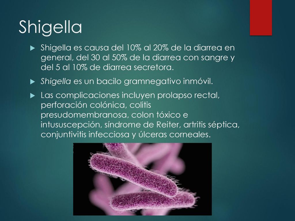 Shigella Shigella es causa del 10% al 20% de la diarrea en general, del 30 al 50% de la diarrea con sangre y del 5 al 10% de diarrea secretora.