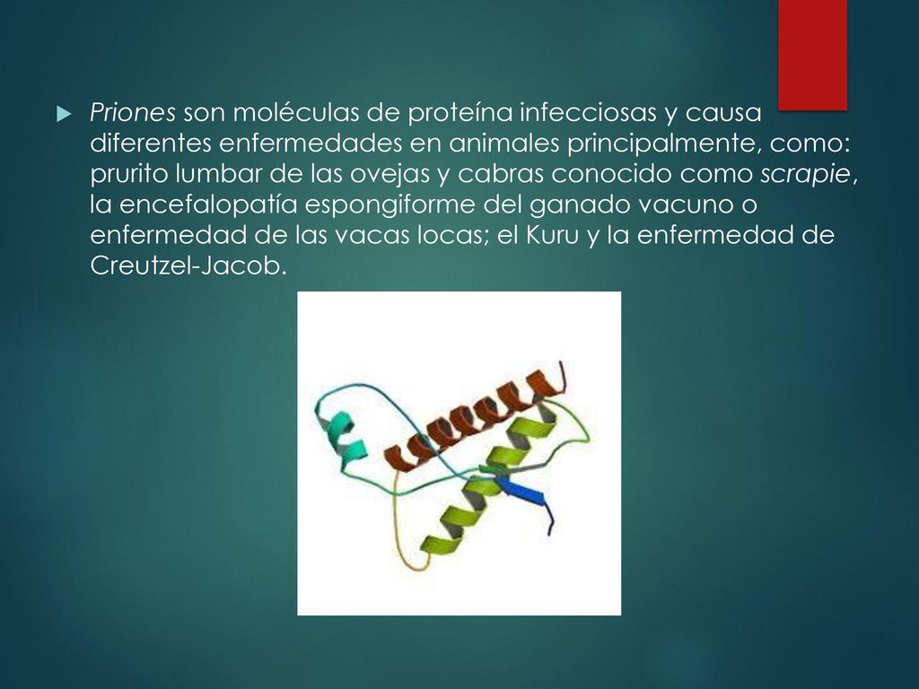 Priones son moléculas de proteína infecciosas y causa diferentes enfermedades en animales principalmente, como: prurito lumbar de las ovejas y cabras conocido como scrapie, la encefalopatía espongiforme del ganado vacuno o enfermedad de las vacas locas; el Kuru y la enfermedad de Creutzel-Jacob.