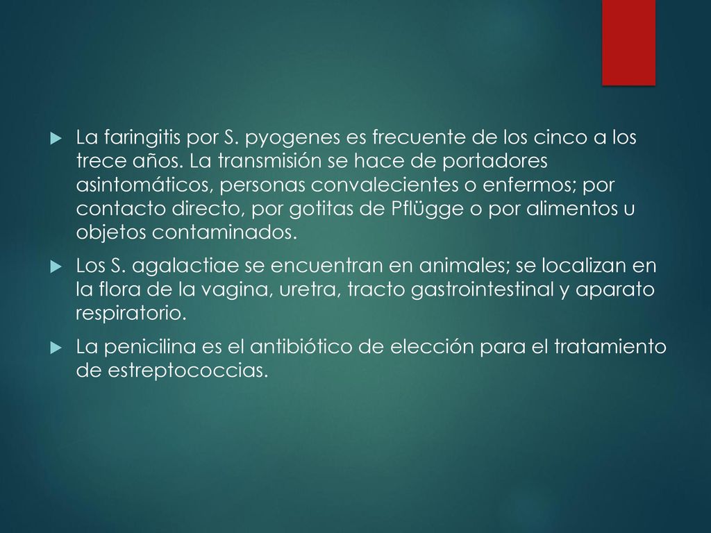 La faringitis por S. pyogenes es frecuente de los cinco a los trece años. La transmisión se hace de portadores asintomáticos, personas convalecientes o enfermos; por contacto directo, por gotitas de Pflügge o por alimentos u objetos contaminados.