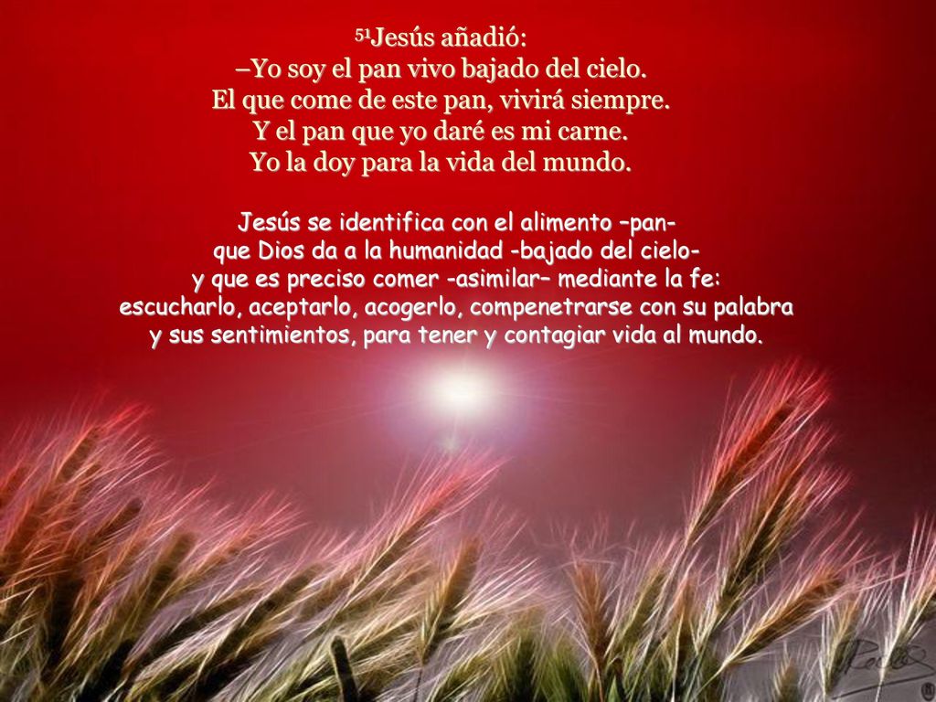 51Jesús añadió: –Yo soy el pan vivo bajado del cielo