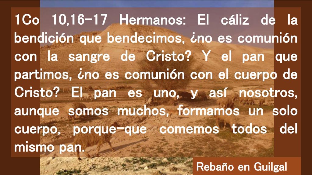 1Co 10,16-17 Hermanos: El cáliz de la bendición que bendecimos, ¿no es comunión con la sangre de Cristo Y el pan que partimos, ¿no es comunión con el cuerpo de Cristo El pan es uno, y así nosotros, aunque somos muchos, formamos un solo cuerpo, porque-que comemos todos del mismo pan.