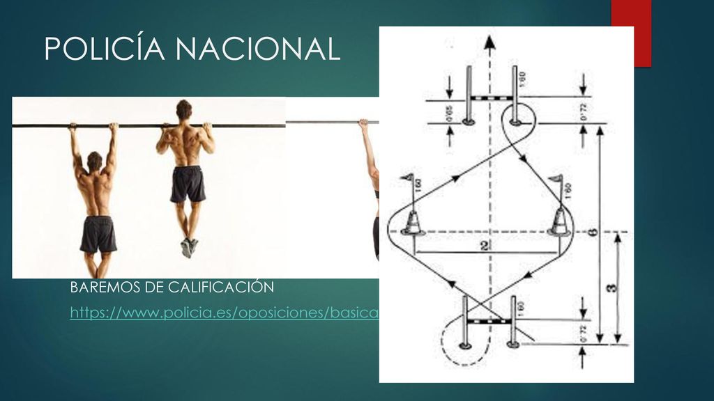 POLICÍA NACIONAL Las pruebas físicas de la Convocatoria Oposiciones Policía Nacional son: 1º -> Circuito de agilidad (HOMBRES Y MUJERES)