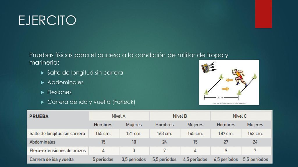 EJERCITO Pruebas físicas para el acceso a la condición de militar de tropa y marinería: Salto de longitud sin carrera.