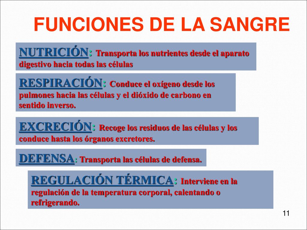 FUNCIONES DE LA SANGRE NUTRICIÓN: Transporta los nutrientes desde el aparato. digestivo hacia todas las células.