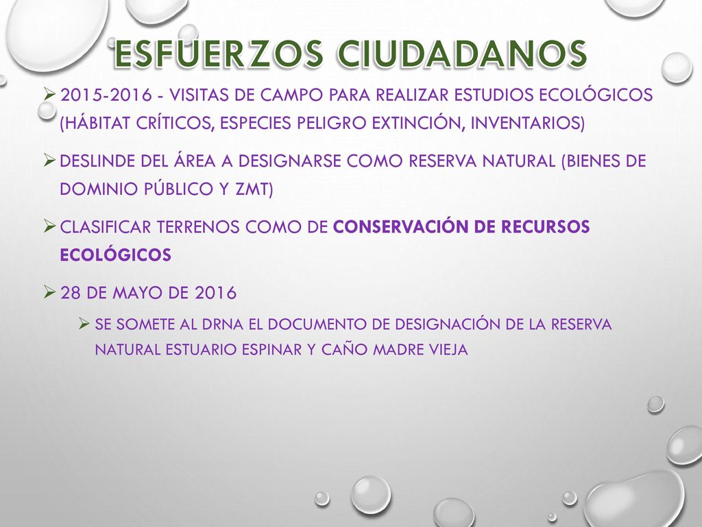 Esfuerzos Ciudadanos Visitas de campo para realizar estudios ecológicos (hábitat críticos, especies peligro extinción, inventarios)