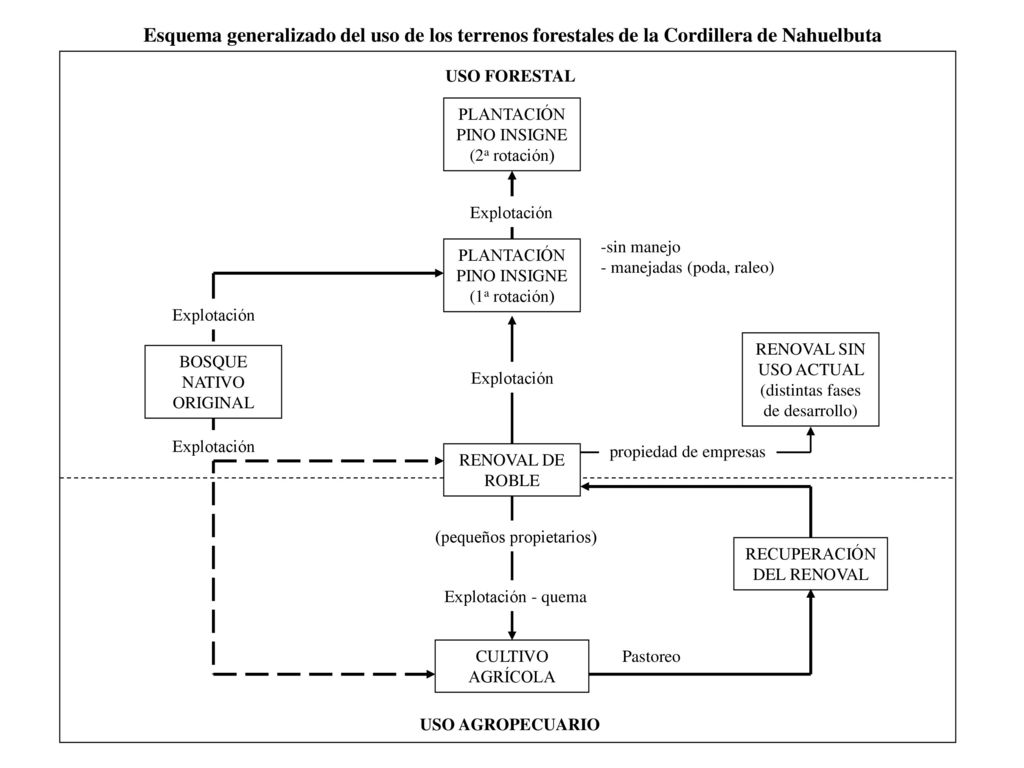 Esquema generalizado del uso de los terrenos forestales de la Cordillera de Nahuelbuta