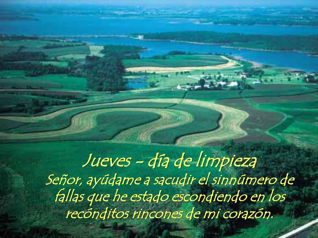 Jueves - día de limpieza Señor, ayúdame a sacudir el sinnúmero de fallas que he estado escondiendo en los recónditos rincones de mi corazón.