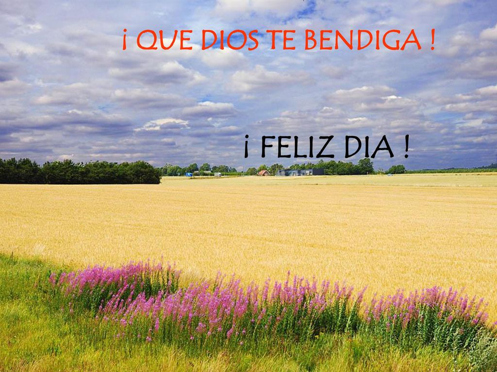 ¡ QUE DIOS TE BENDIGA ! ¡ FELIZ DIA !