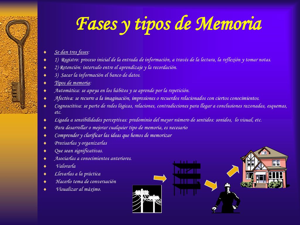 Fases y tipos de Memoria