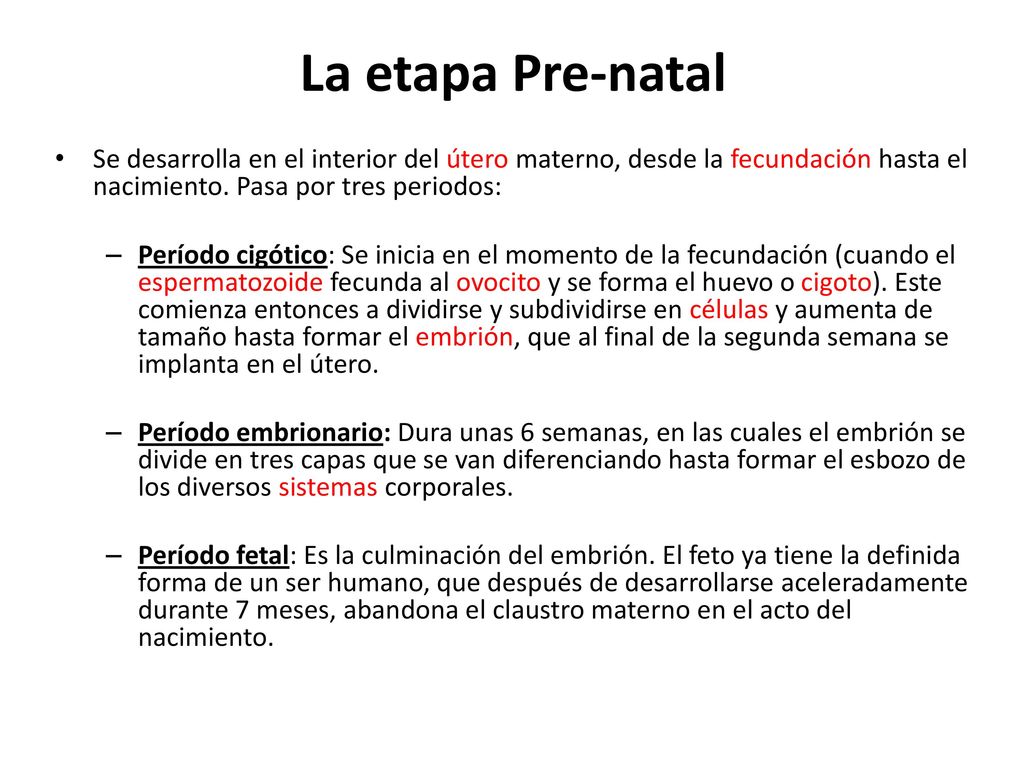 La etapa Pre-natal Se desarrolla en el interior del útero materno, desde la fecundación hasta el nacimiento. Pasa por tres periodos: