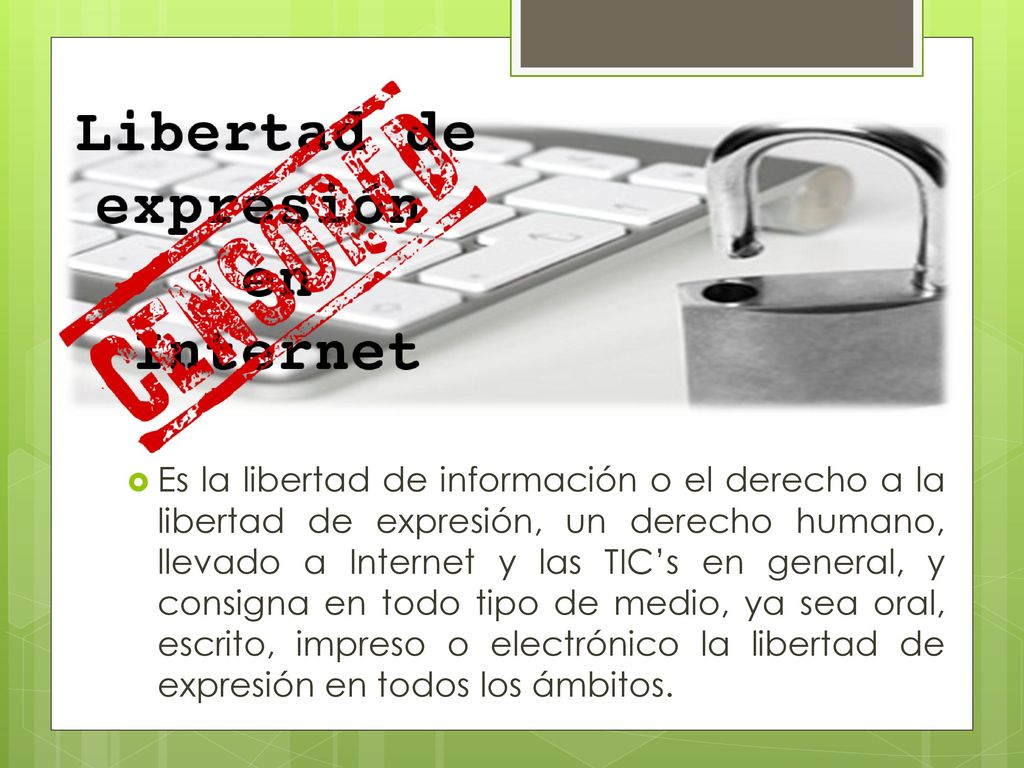 Es la libertad de información o el derecho a la libertad de expresión, un derecho humano, llevado a Internet y las TIC’s en general, y consigna en todo tipo de medio, ya sea oral, escrito, impreso o electrónico la libertad de expresión en todos los ámbitos.