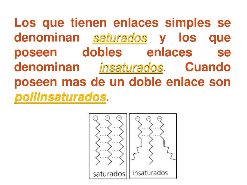 Los que tienen enlaces simples se denominan saturados y los que poseen dobles enlaces se denominan insaturados.
