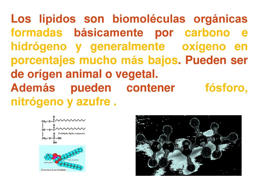 Los lípidos son biomoléculas orgánicas formadas básicamente por carbono e hidrógeno y generalmente oxígeno en porcentajes mucho más bajos. Pueden ser de orígen animal o vegetal.