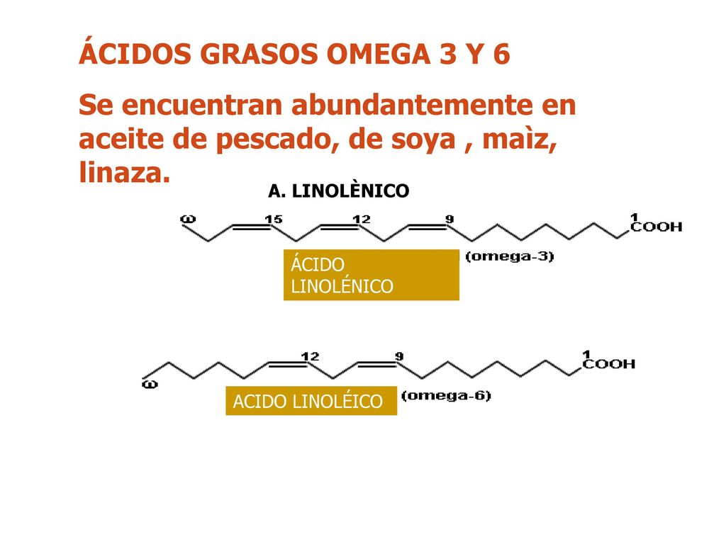 ÁCIDOS GRASOS OMEGA 3 Y 6 Se encuentran abundantemente en aceite de pescado, de soya , maìz, linaza.