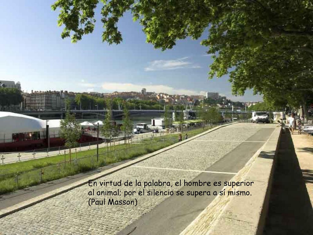 En virtud de la palabra, el hombre es superior al animal; por el silencio se supera a sí mismo.