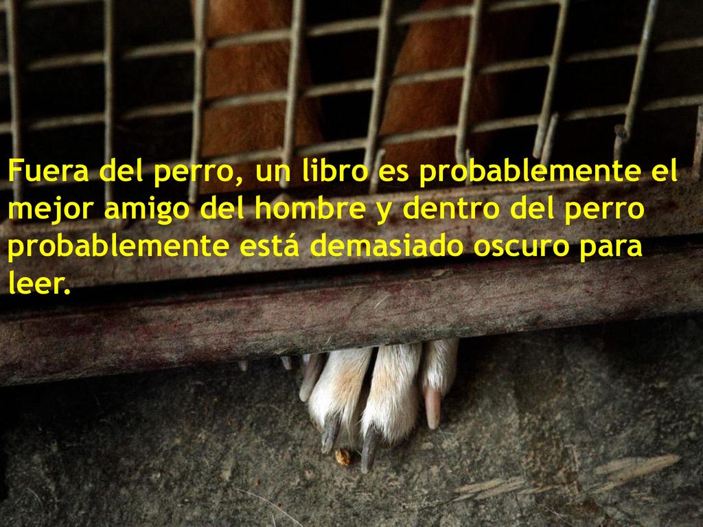 Fuera del perro, un libro es probablemente el mejor amigo del hombre y dentro del perro probablemente está demasiado oscuro para leer.