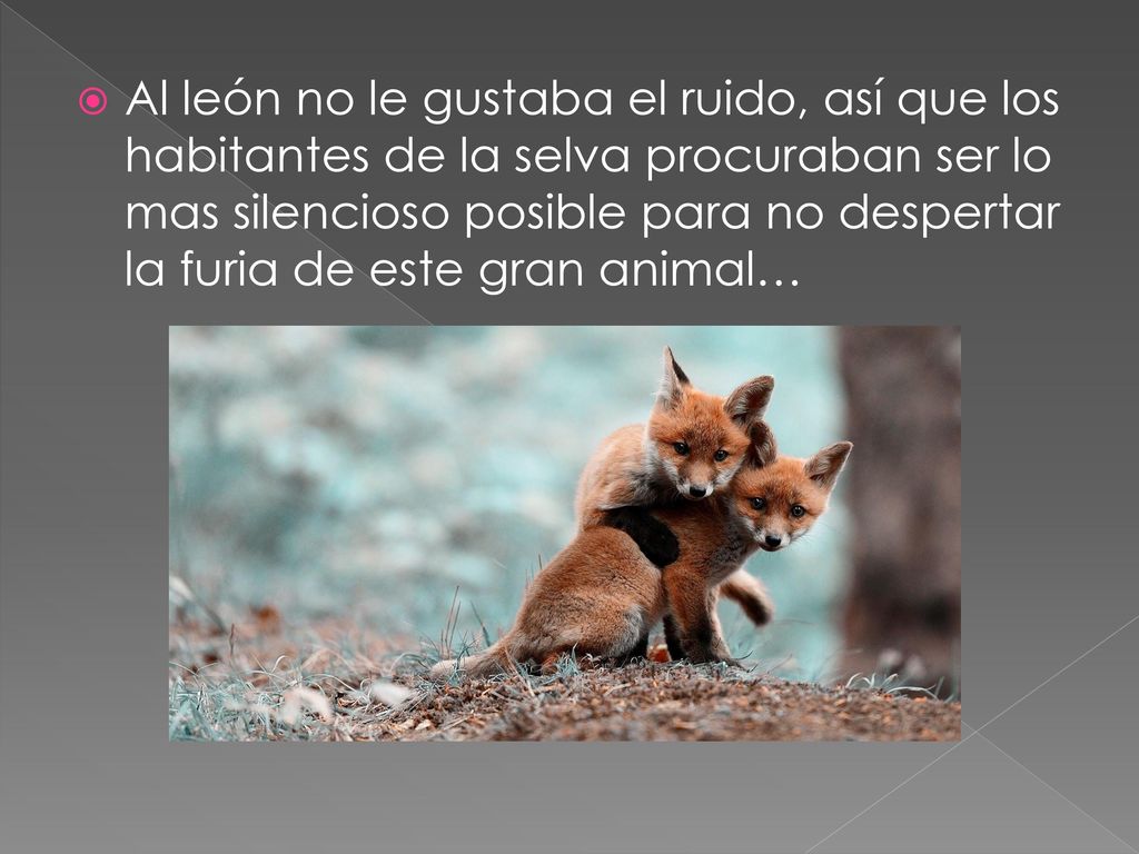 Al león no le gustaba el ruido, así que los habitantes de la selva procuraban ser lo mas silencioso posible para no despertar la furia de este gran animal…
