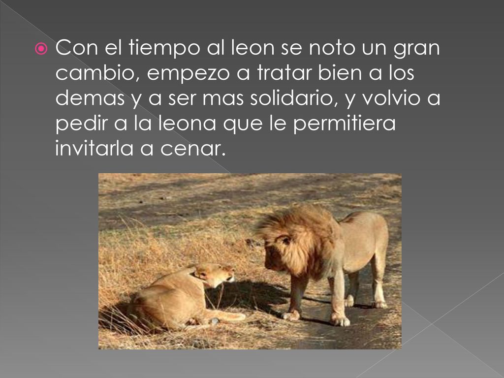 Con el tiempo al leon se noto un gran cambio, empezo a tratar bien a los demas y a ser mas solidario, y volvio a pedir a la leona que le permitiera invitarla a cenar.