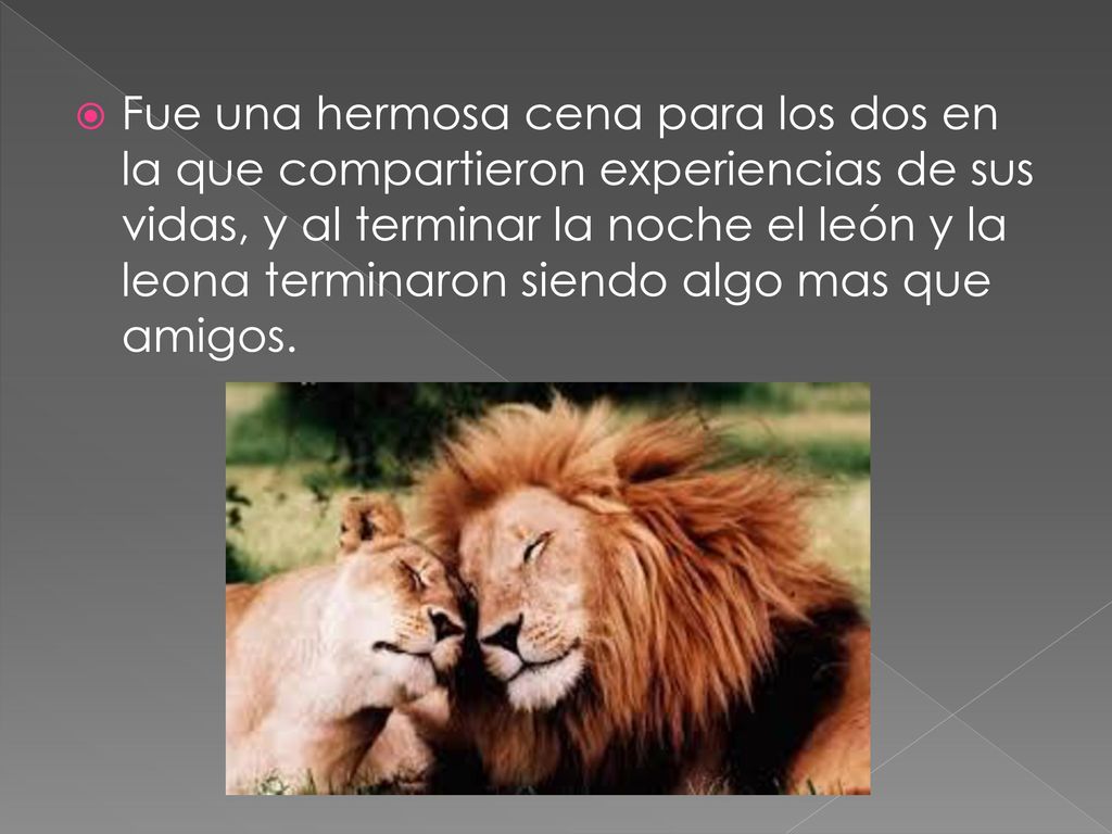 Fue una hermosa cena para los dos en la que compartieron experiencias de sus vidas, y al terminar la noche el león y la leona terminaron siendo algo mas que amigos.