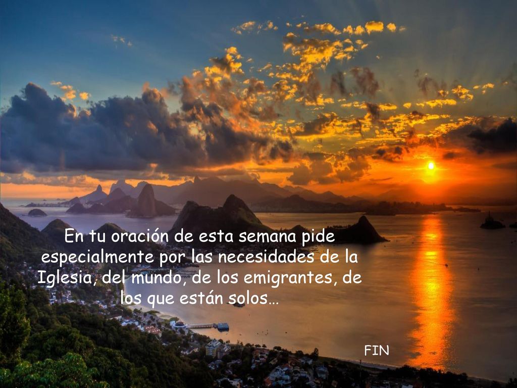 En tu oración de esta semana pide especialmente por las necesidades de la Iglesia, del mundo, de los emigrantes, de los que están solos…
