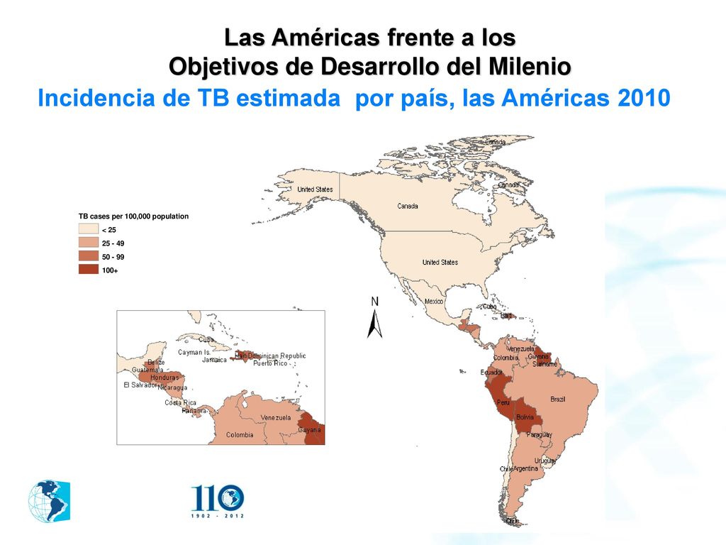 Las Américas frente a los Objetivos de Desarrollo del Milenio