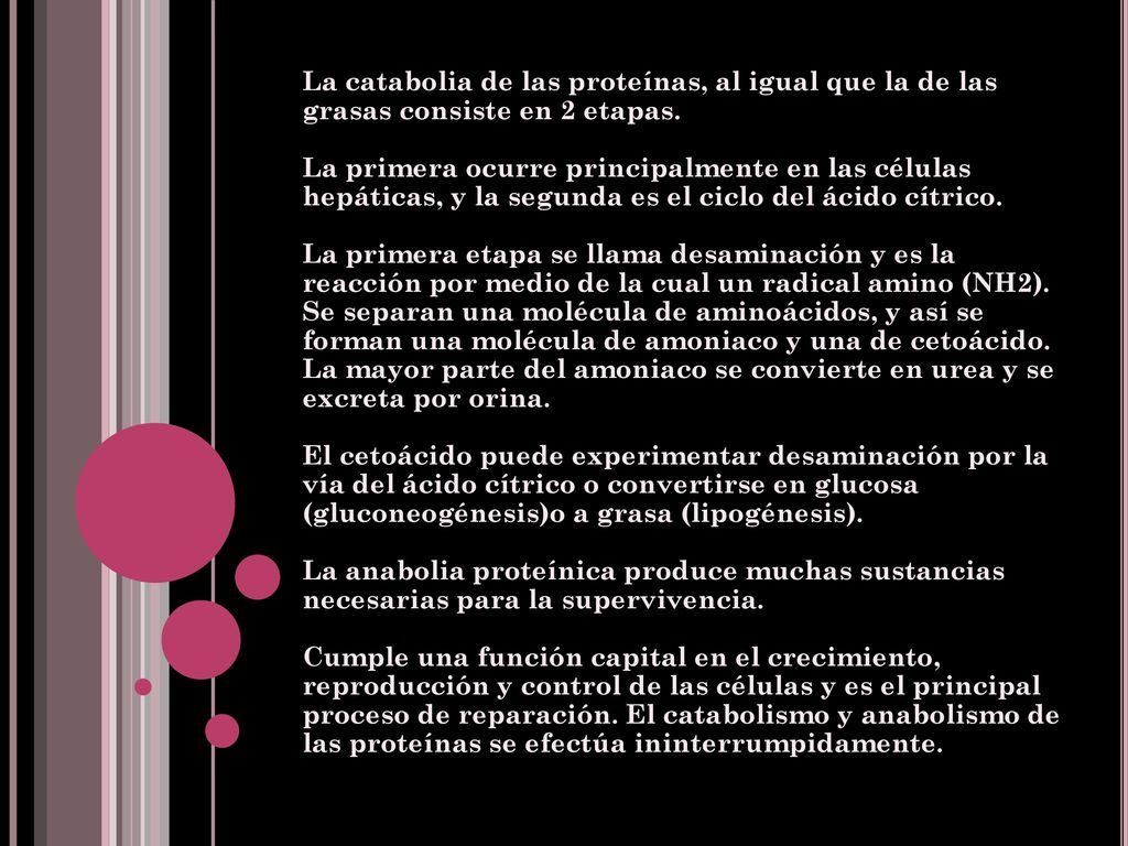 La catabolia de las proteínas, al igual que la de las grasas consiste en 2 etapas.