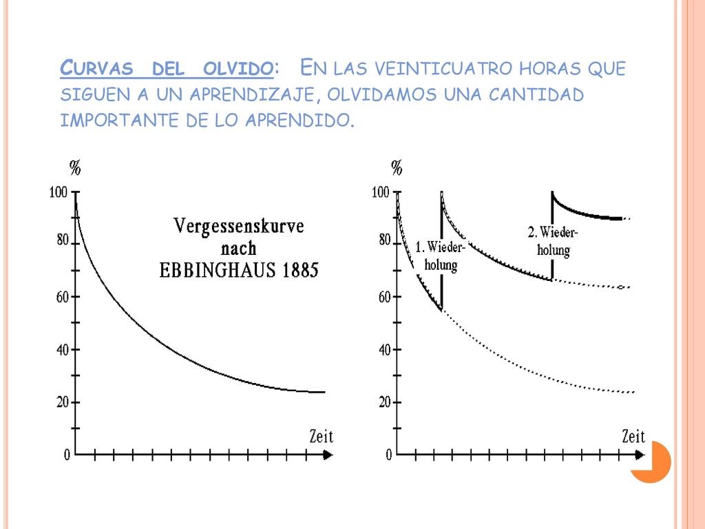 Curvas del olvido: En las veinticuatro horas que siguen a un aprendizaje, olvidamos una cantidad importante de lo aprendido.