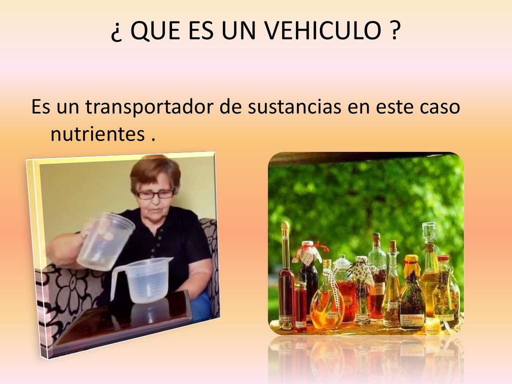 ¿ QUE ES UN VEHICULO Es un transportador de sustancias en este caso nutrientes .