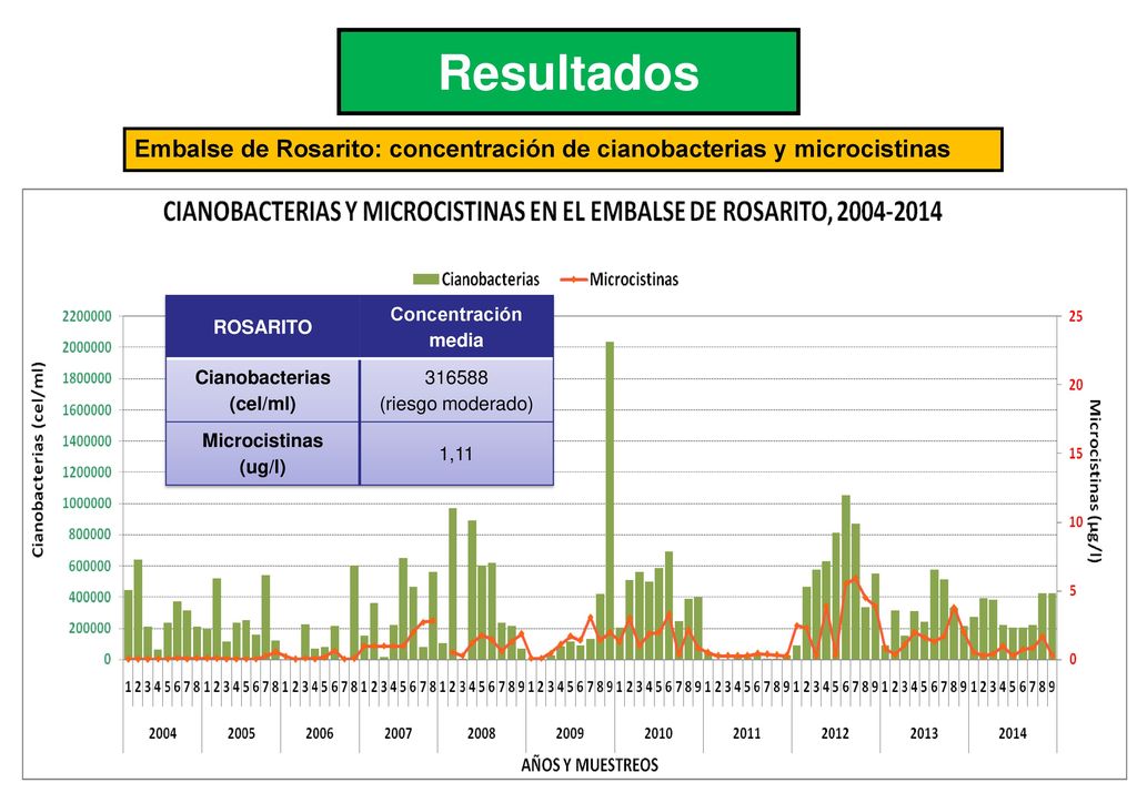 Resultados Embalse de Rosarito: concentración de cianobacterias y microcistinas. ROSARITO. Concentración media.