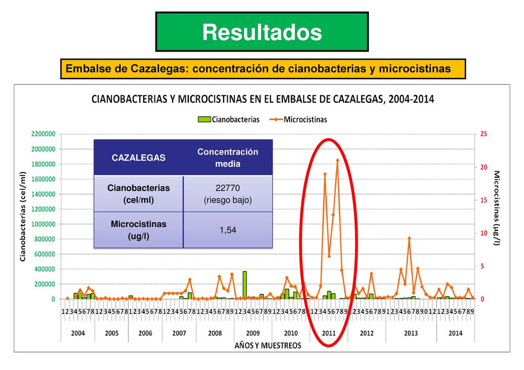 Resultados Embalse de Cazalegas: concentración de cianobacterias y microcistinas. CAZALEGAS. Concentración media.
