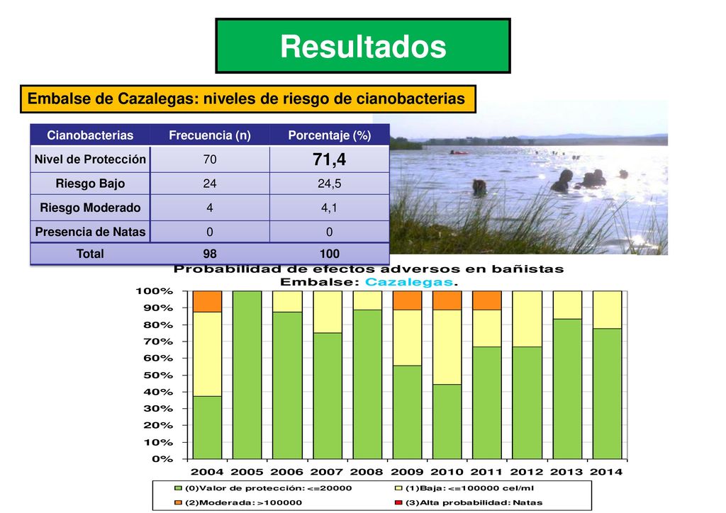 Resultados Embalse de Cazalegas: niveles de riesgo de cianobacterias. Cianobacterias. Frecuencia (n)