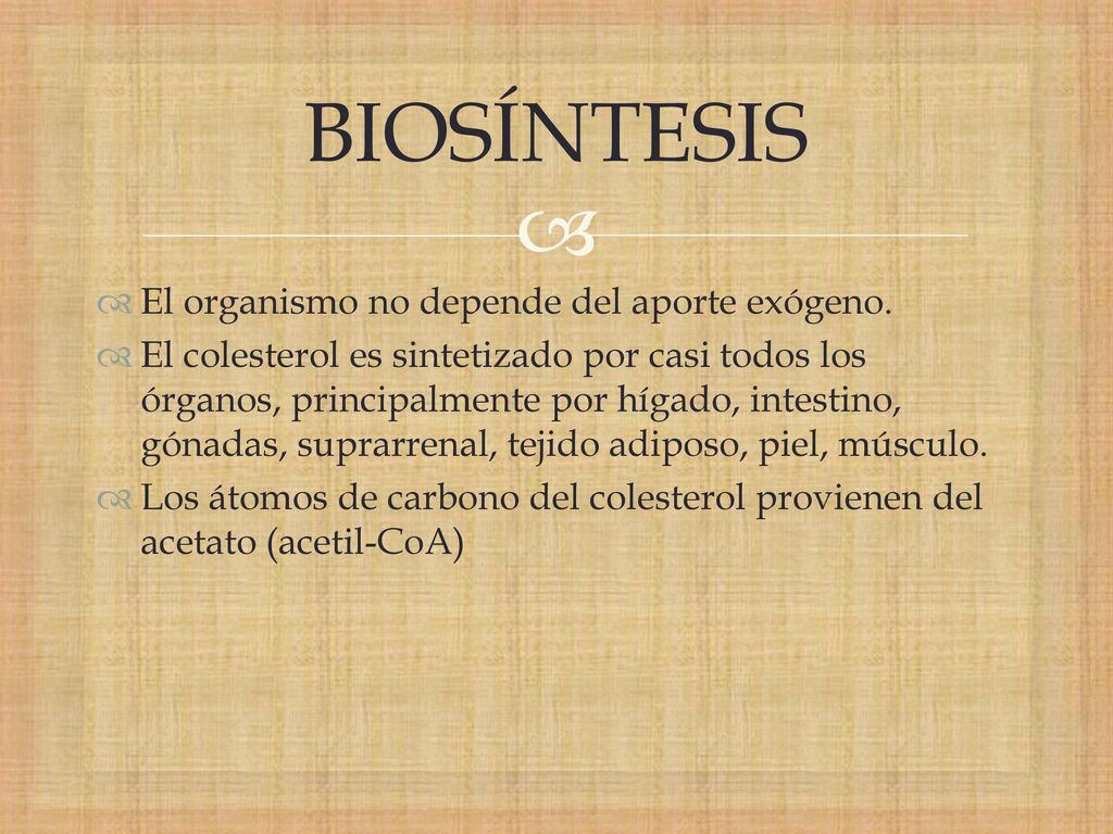BIOSÍNTESIS El organismo no depende del aporte exógeno.