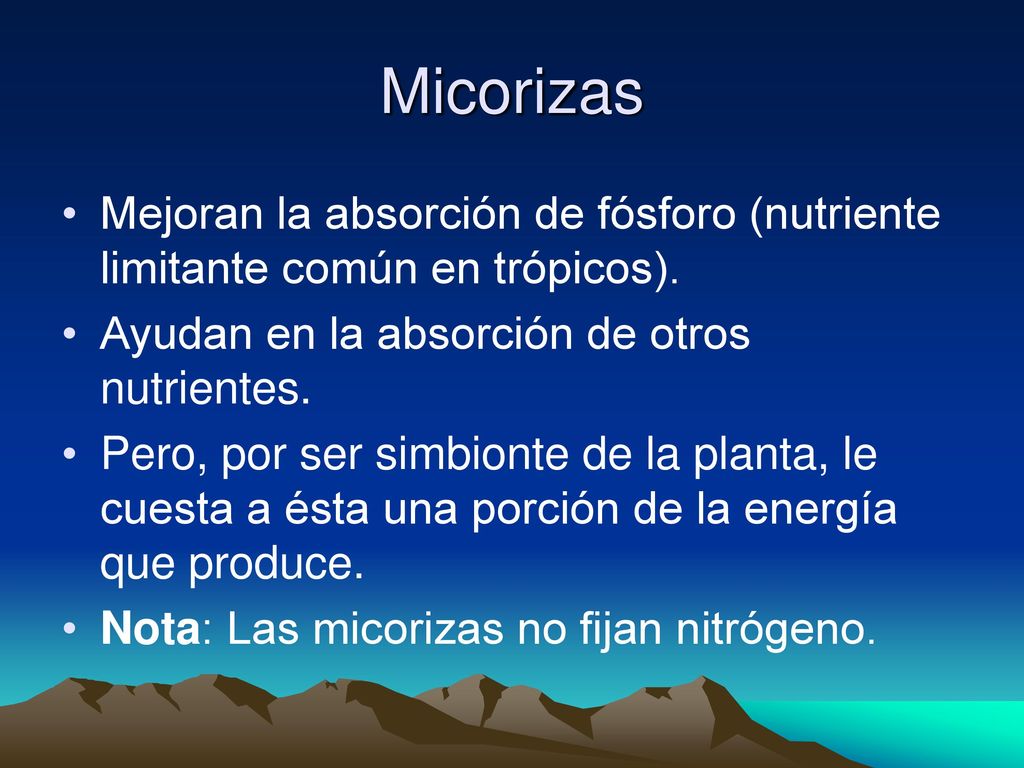 Micorizas Mejoran la absorción de fósforo (nutriente limitante común en trópicos). Ayudan en la absorción de otros nutrientes.
