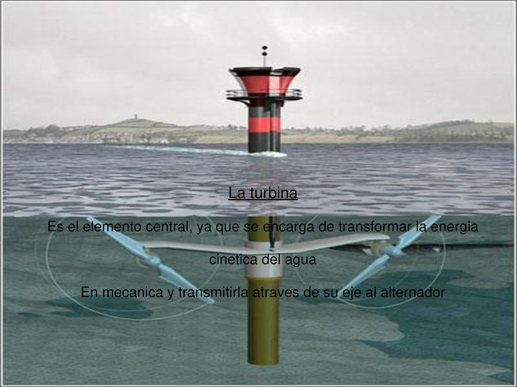 La turbina Es el elemento central, ya que se encarga de transformar la energia. cinetica del agua.