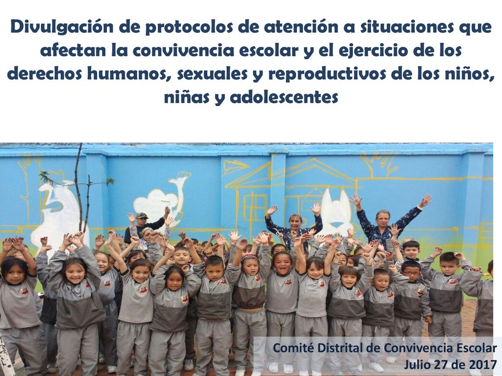 Divulgación de protocolos de atención a situaciones que afectan la convivencia escolar y el ejercicio de los derechos humanos, sexuales y reproductivos de los niños, niñas y adolescentes