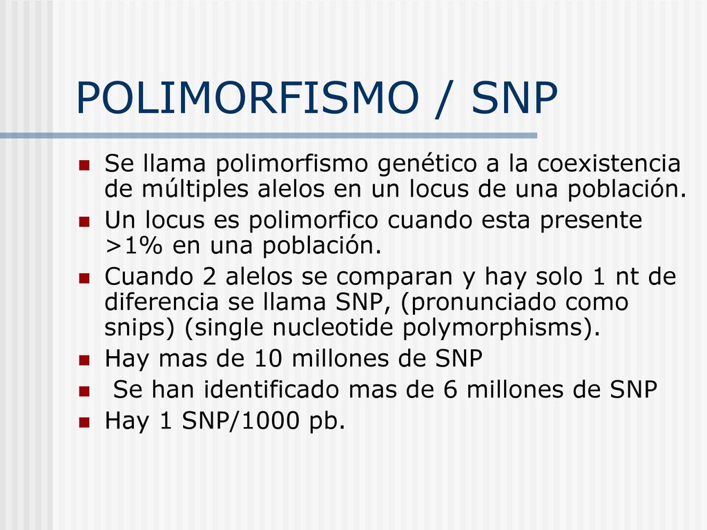 POLIMORFISMO / SNP Se llama polimorfismo genético a la coexistencia de múltiples alelos en un locus de una población.