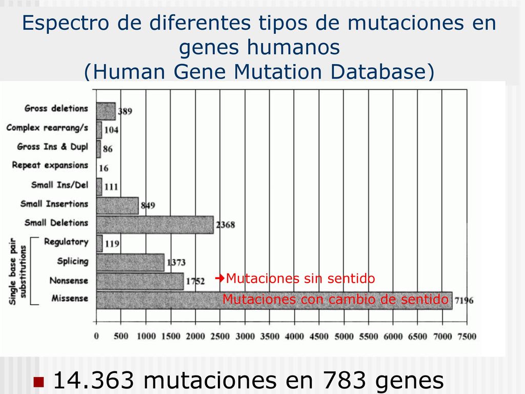 Espectro de diferentes tipos de mutaciones en genes humanos (Human Gene Mutation Database)