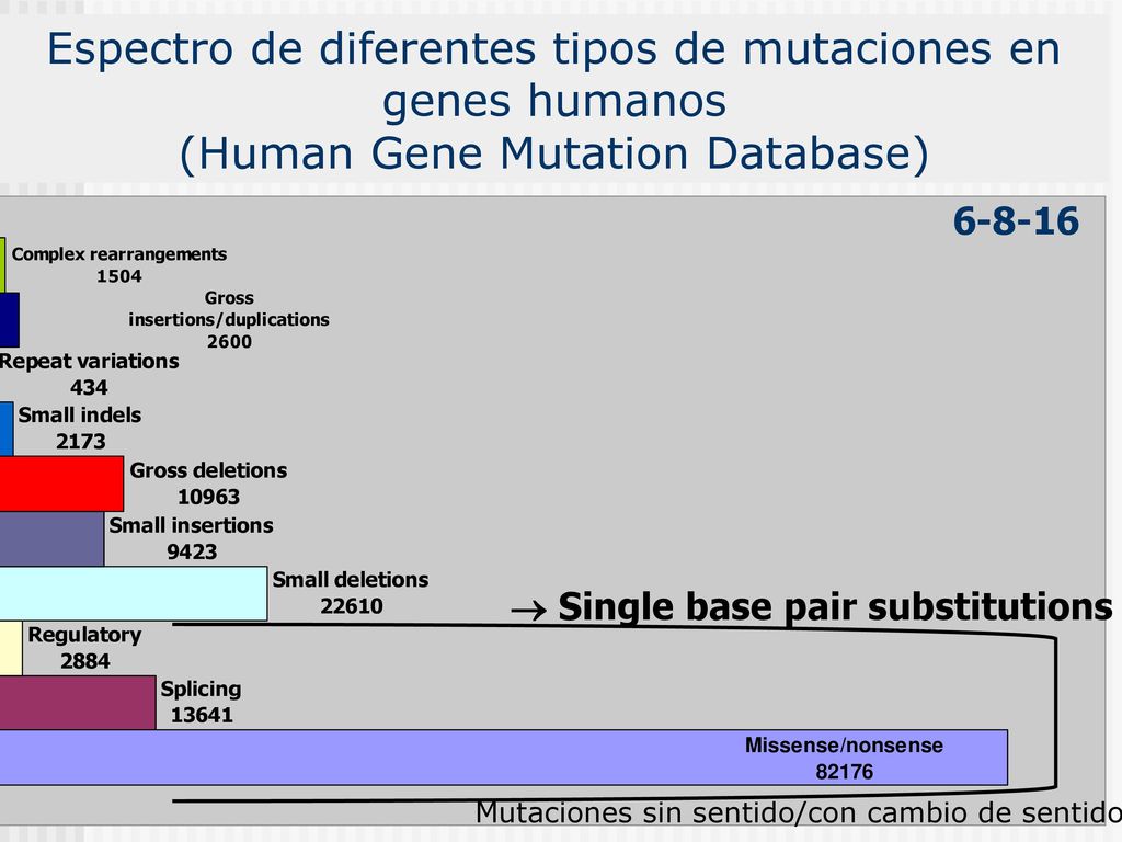 Espectro de diferentes tipos de mutaciones en genes humanos (Human Gene Mutation Database)