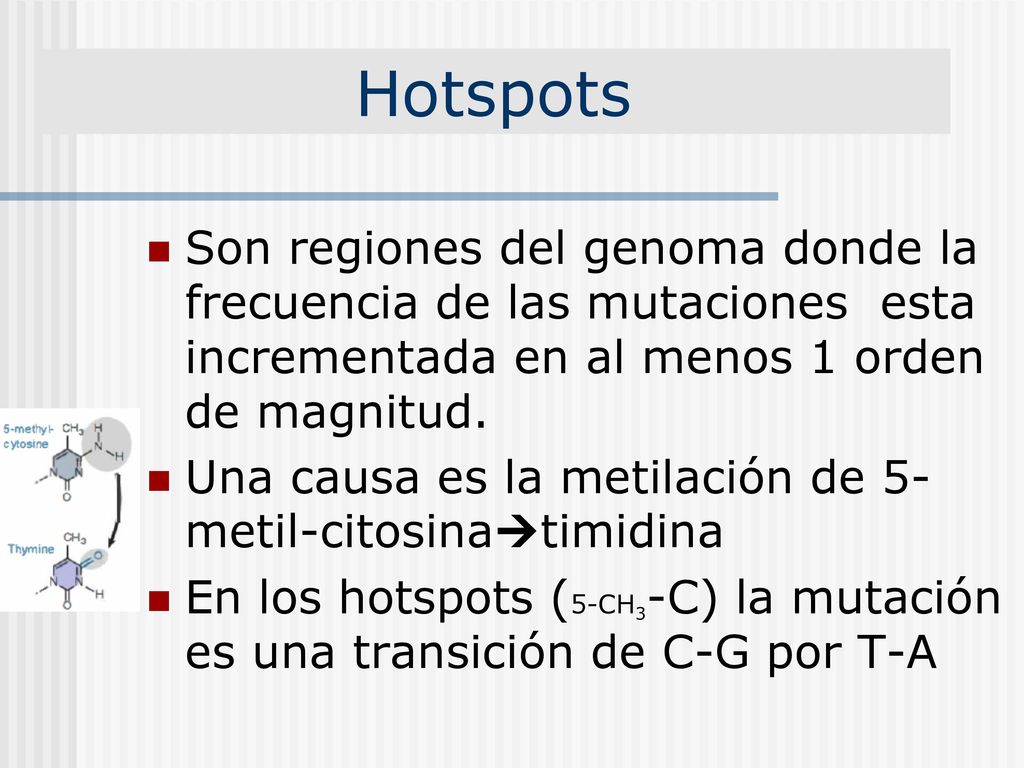 Hotspots Son regiones del genoma donde la frecuencia de las mutaciones esta incrementada en al menos 1 orden de magnitud.