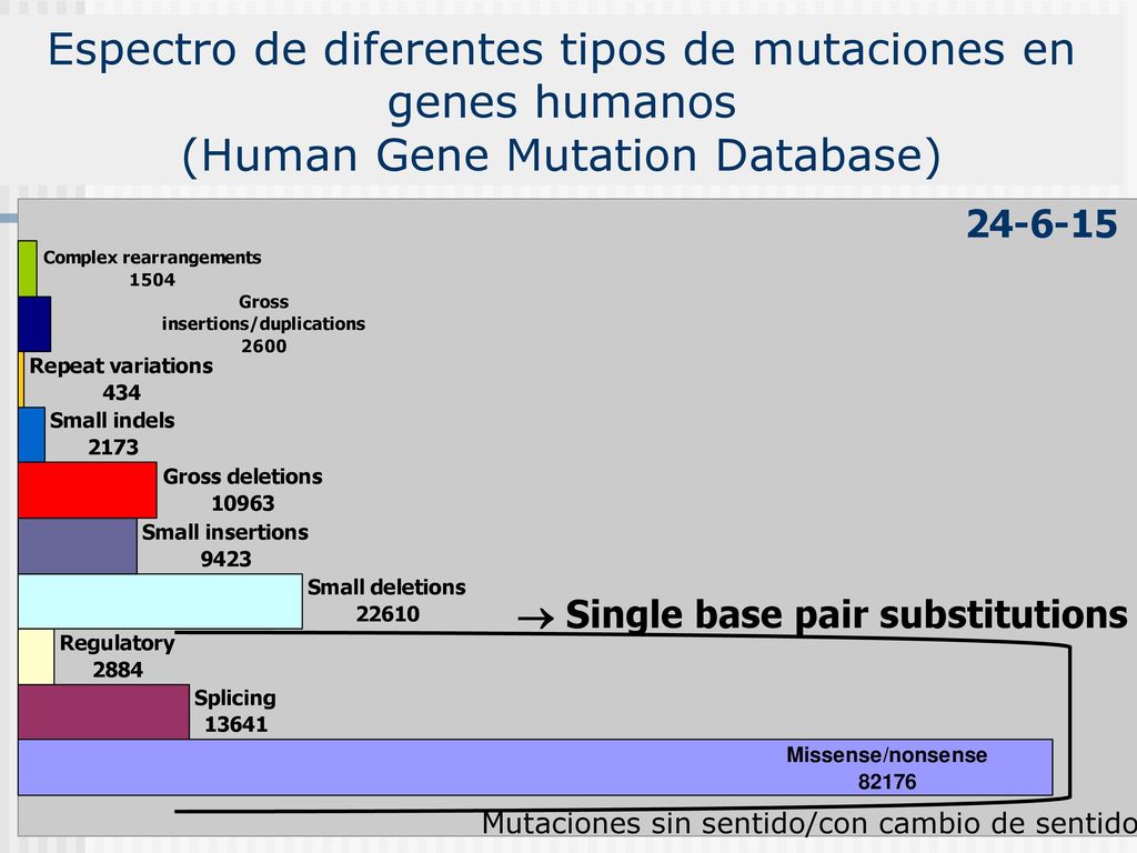 Espectro de diferentes tipos de mutaciones en genes humanos (Human Gene Mutation Database)