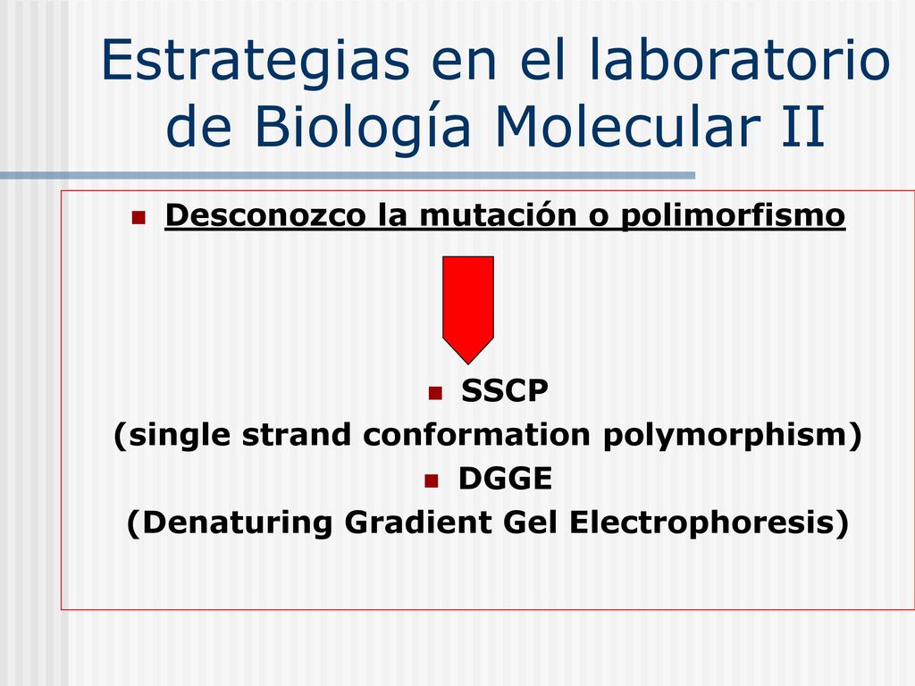 Estrategias en el laboratorio de Biología Molecular II