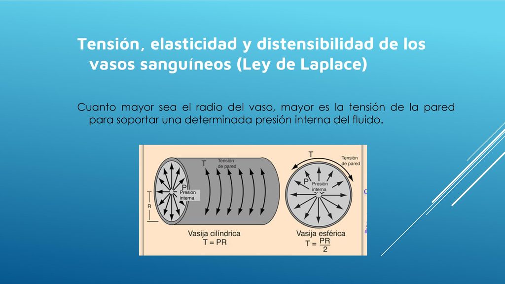 Tensión, elasticidad y distensibilidad de los vasos sanguíneos (Ley de Laplace)