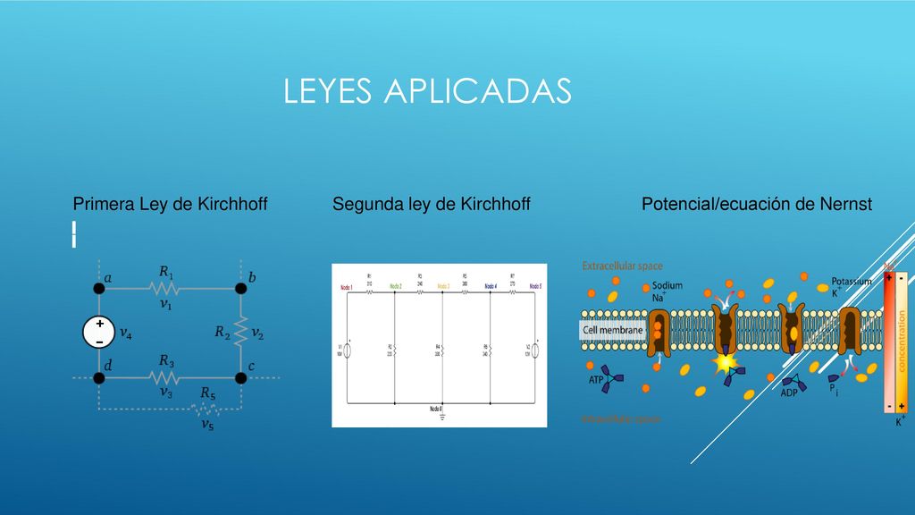 LEYES APLICADAS Primera Ley de Kirchhoff Segunda ley de Kirchhoff Potencial/ecuación de Nernst.