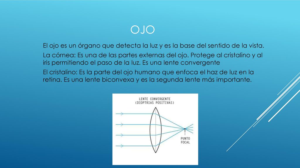 Ojo El ojo es un órgano que detecta la luz y es la base del sentido de la vista.