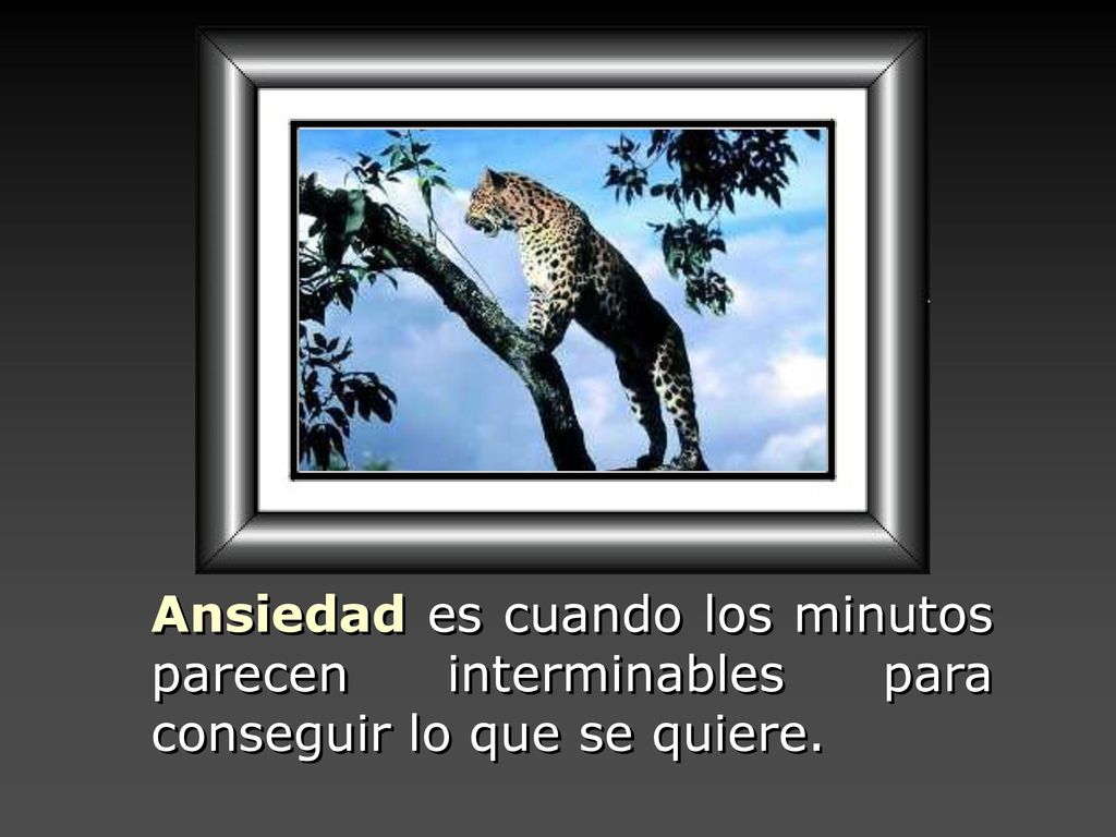 Ansiedad es cuando los minutos parecen interminables para conseguir lo que se quiere.