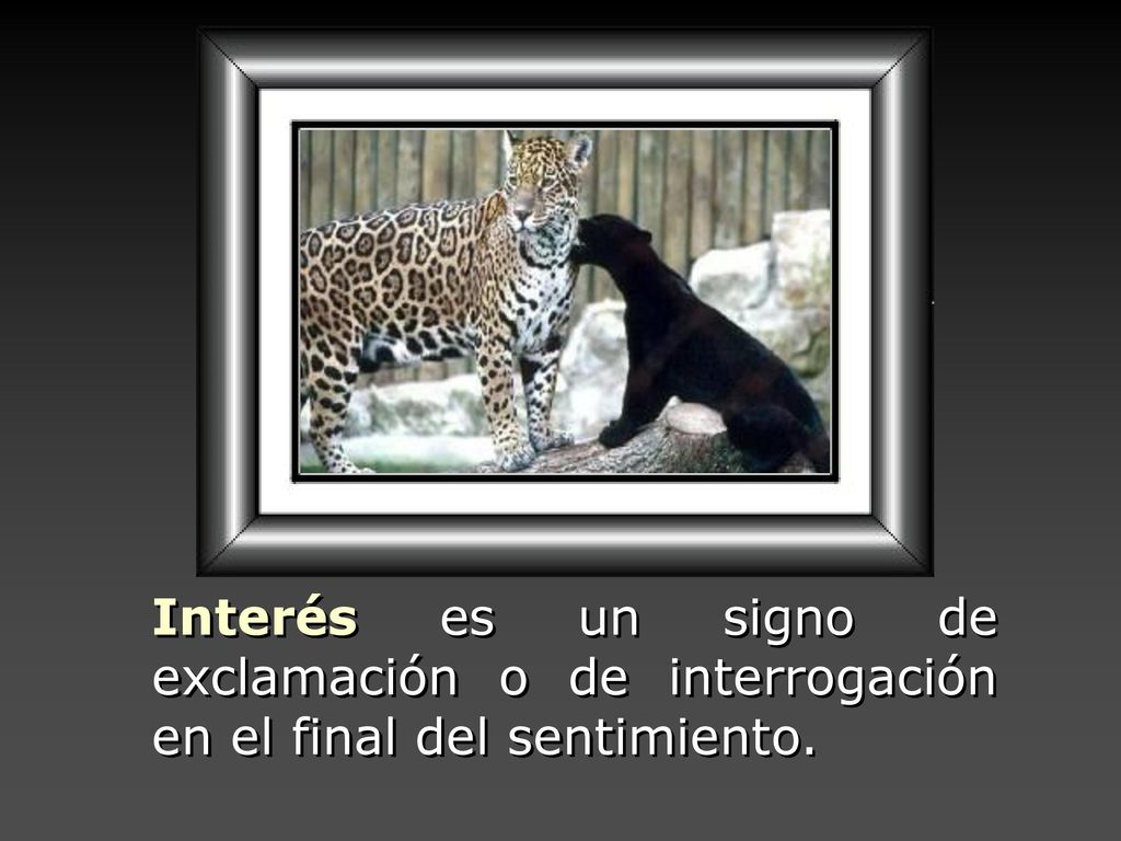 Interés es un signo de exclamación o de interrogación en el final del sentimiento.