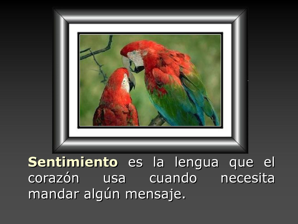 Sentimiento es la lengua que el corazón usa cuando necesita mandar algún mensaje.