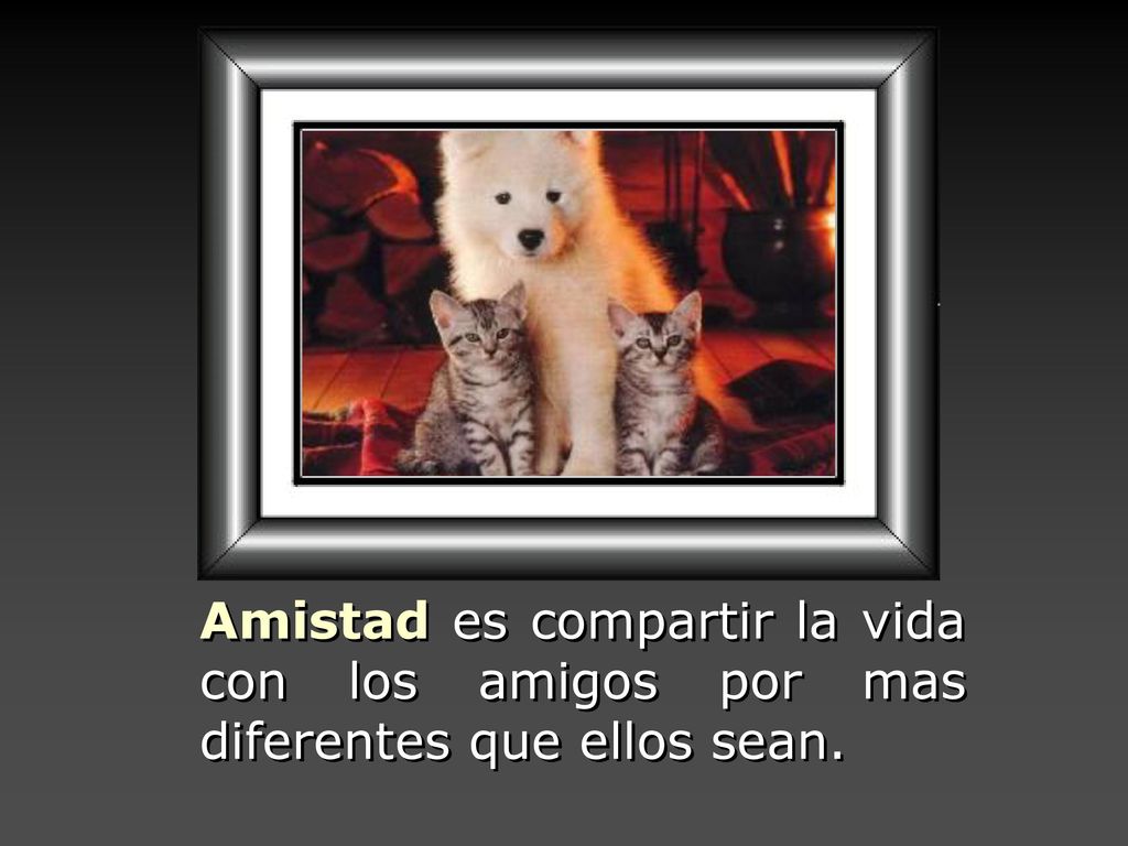 Amistad es compartir la vida con los amigos por mas diferentes que ellos sean.